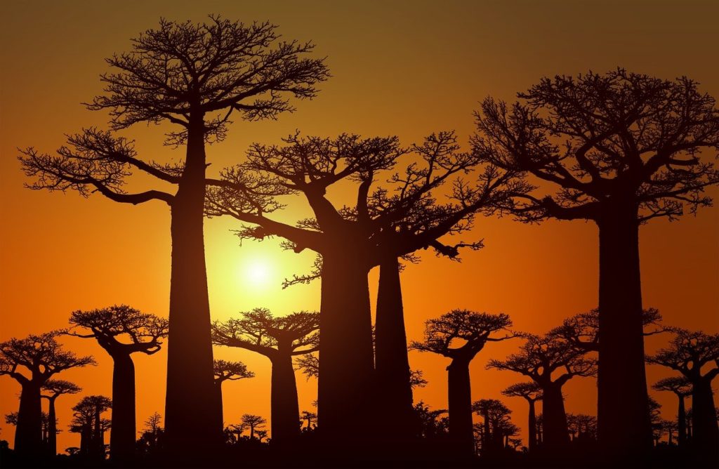 10 Jolis Proverbes africains